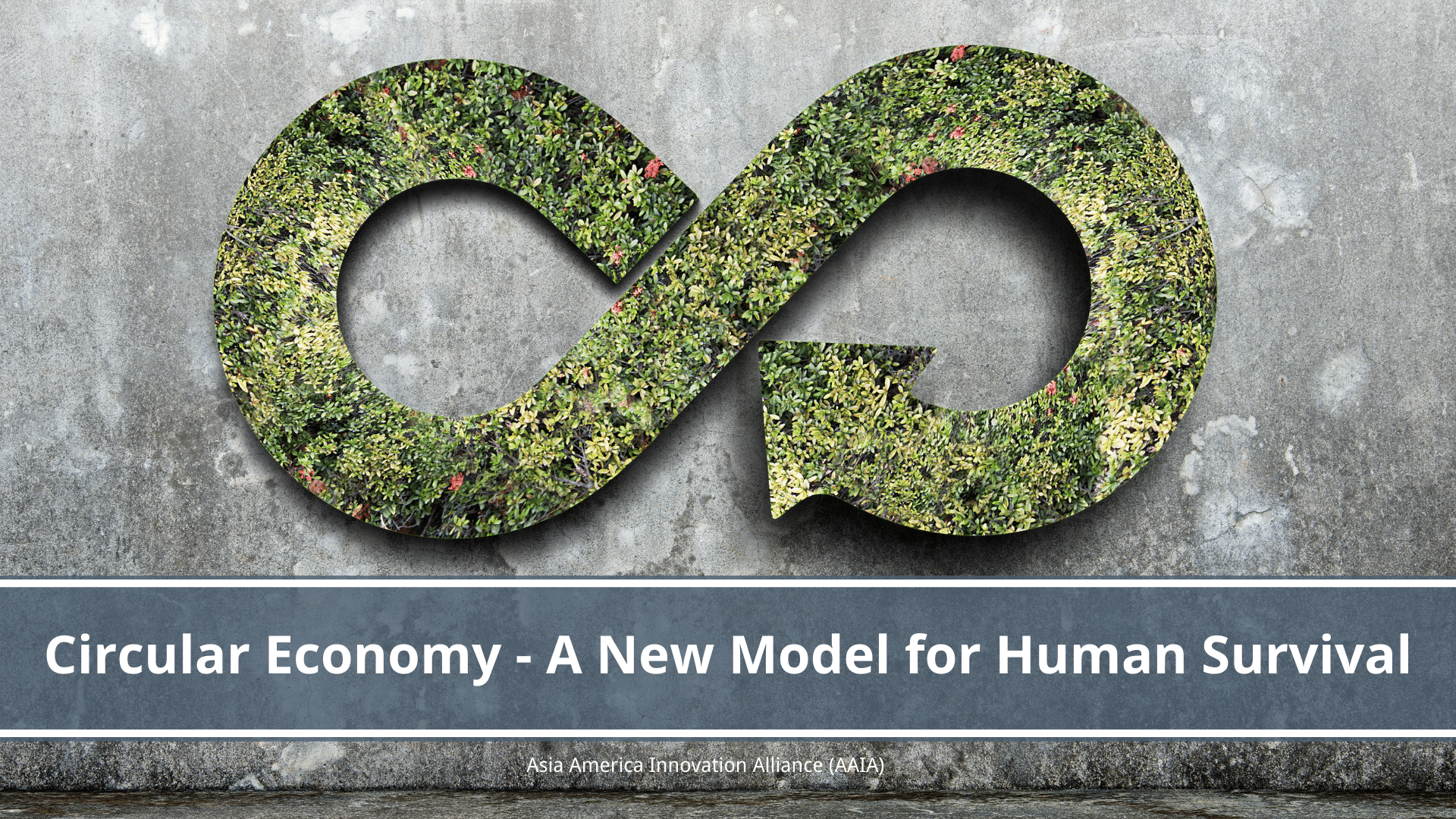 You are currently viewing Circular Economy – a New Model for Human Survival