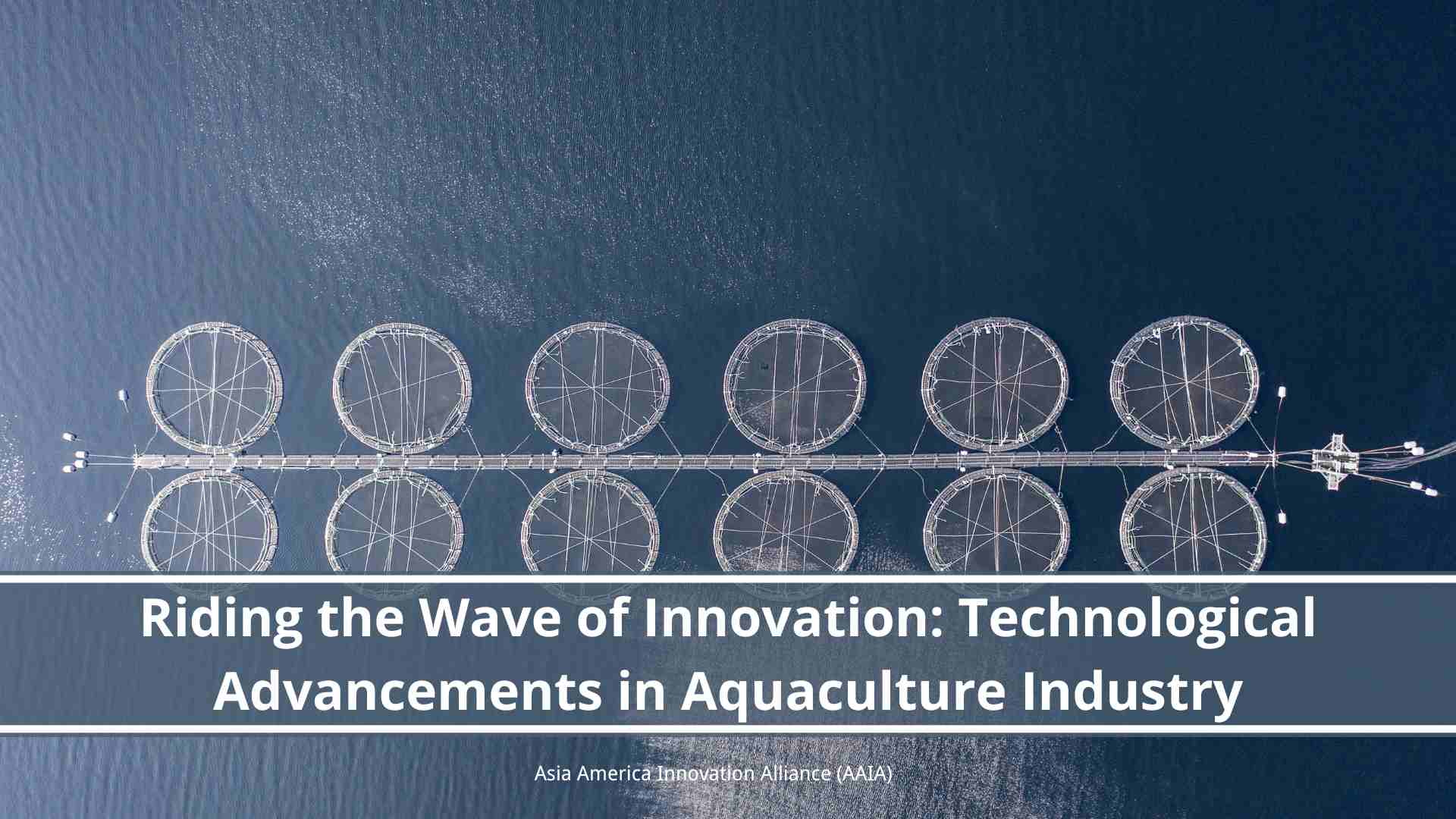 You are currently viewing Riding the Wave of Innovation: Technological Advancements in Aquaculture Industry